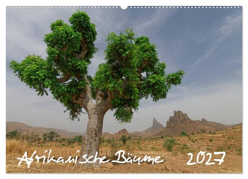 Afrikanische Bäume (Wandkalender 2027 DIN A2 quer) CALVENDO Monatskalender