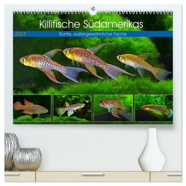 Killifische Südamerikas (hochwertiger Premium Wandkalender 2027 DIN A2 quer) Kunstdruck in Hochglanz