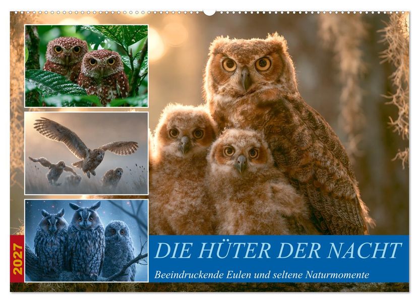 Hüter der Nacht (Wandkalender 2027 DIN A2 quer) CALVENDO Monatskalender