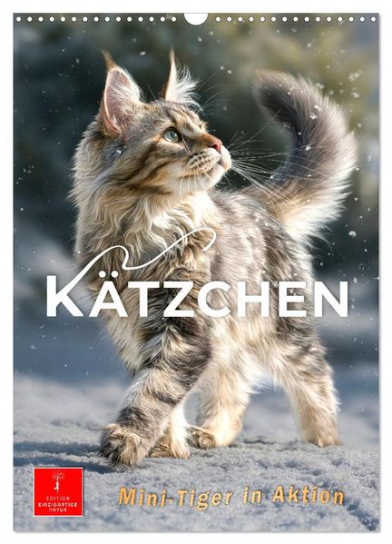 Kätzchen - Mini-Tiger in Aktion (Wandkalender 2027 DIN A3 hoch) CALVENDO Monatskalender