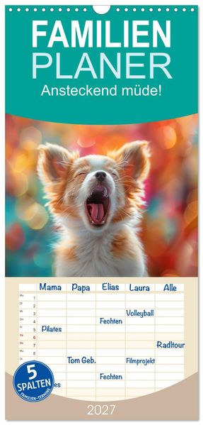 Familienplaner 2027 - Ansteckend müde! mit 5 Spalten (Wandkalender 21 x 45 cm) CALVENDO