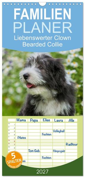 Familienplaner 2027 - Liebenswerter Clown Bearded Collie mit 5 Spalten (Wandkalender 21 x 45 cm) CALVENDO