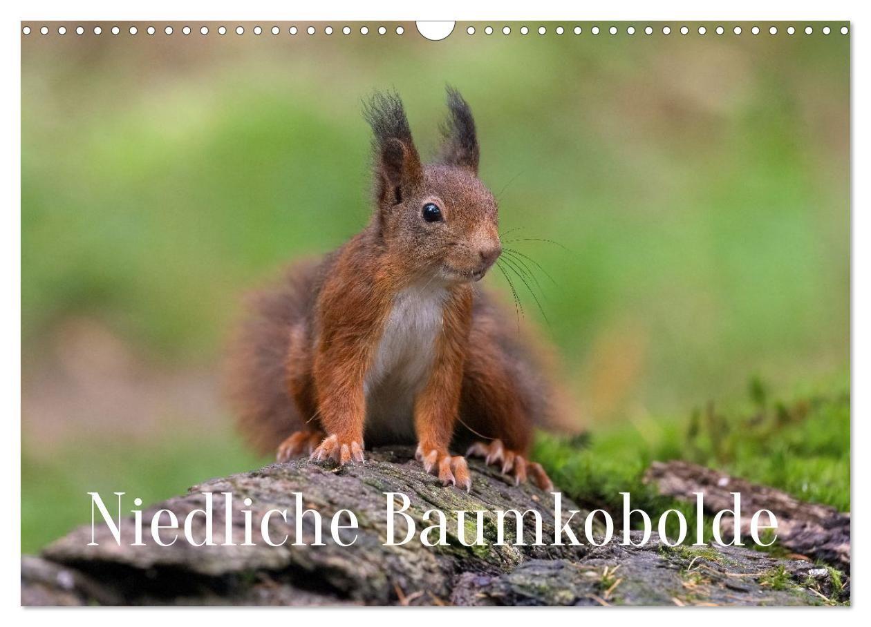 Niedliche Baumkobolde (Wandkalender 2027 DIN A3 quer) CALVENDO Monatskalender