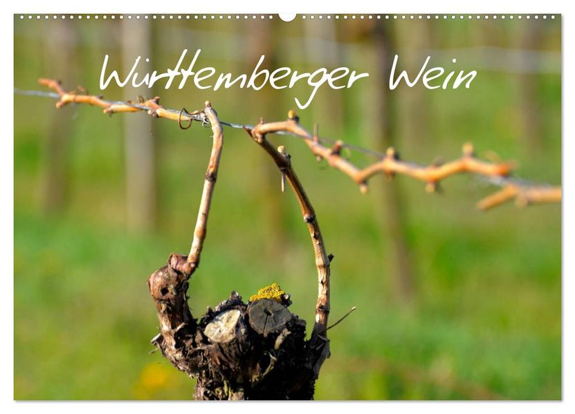 Württemberger Wein 2027 (Wandkalender 2027 DIN A2 quer) CALVENDO Monatskalender