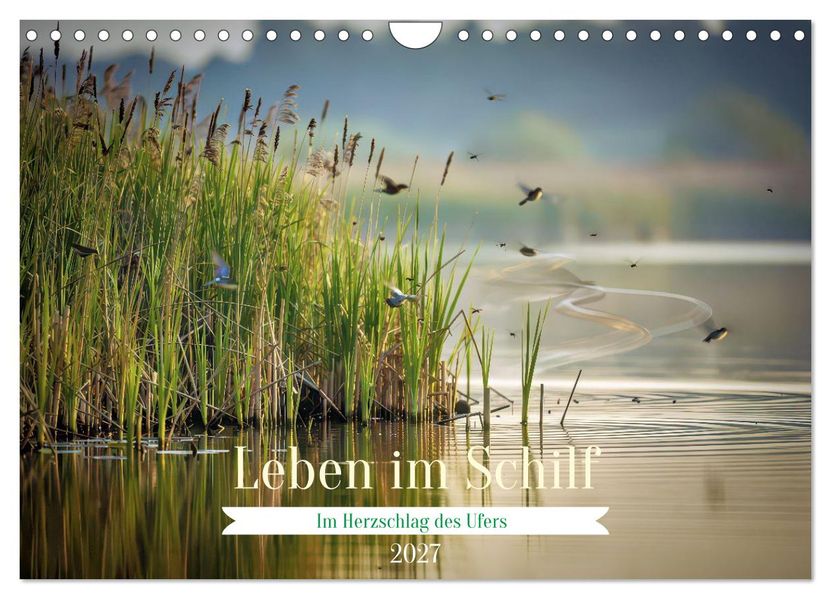 Leben im Schilf (Wandkalender 2027 DIN A4 quer) CALVENDO Monatskalender