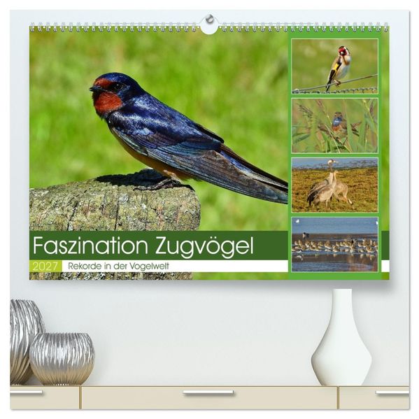 Faszination Zugvögel - Rekorde in der Vogelwelt (hochwertiger Premium Wandkalender 2027 DIN A2 quer) Kunstdruck in Hochglanz