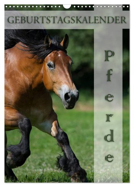 Pferde / Planer (Wandkalender 2027 DIN A3 hoch) CALVENDO Monatskalender