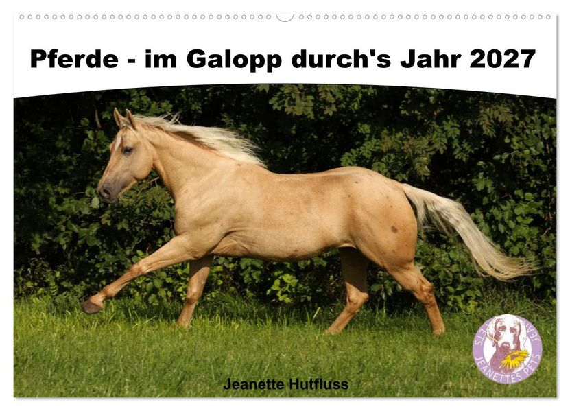 Pferde - im Galopp durch's Jahr 2027 (Wandkalender 2027 DIN A2 quer) CALVENDO Monatskalender