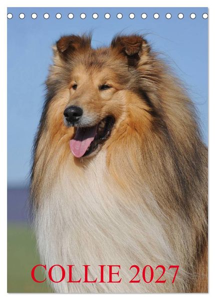 Collie 2027 (Tischkalender 2027 DIN A5 hoch) CALVENDO Monatskalender