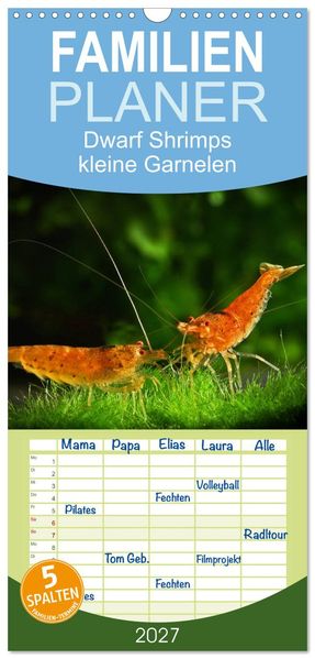 Familienplaner 2027 - Dwarf Shrimps - kleine Garnelen mit 5 Spalten (Wandkalender 21 x 45 cm) CALVENDO