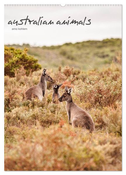 australian animals (Wandkalender 2027 DIN A2 hoch) CALVENDO Monatskalender