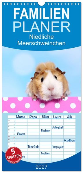 Familienplaner 2027 - Niedliche Meerschweinchen mit 5 Spalten (Wandkalender 21 x 45 cm) CALVENDO