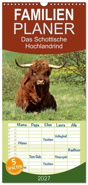 Familienplaner 2027 - Das Schottische Hochlandrind mit 5 Spalten (Wandkalender 21 x 45 cm) CALVENDO