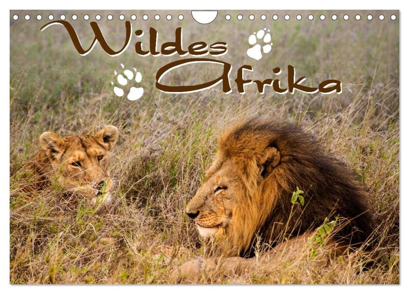Wildes Afrika (Wandkalender 2027 DIN A4 quer) CALVENDO Monatskalender
