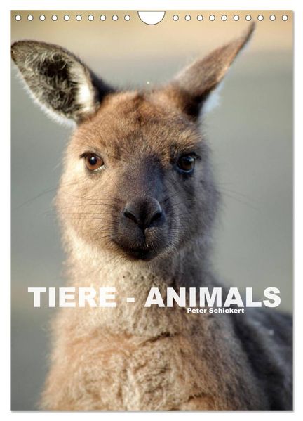 Tiere - Animals (Wandkalender 2027 DIN A4 hoch) CALVENDO Monatskalender