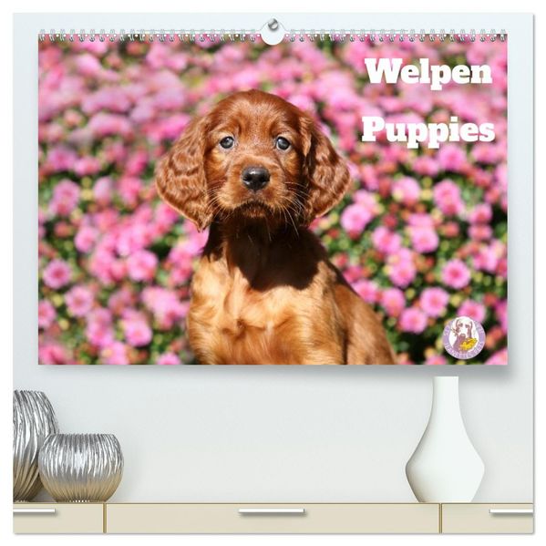 Welpen - Puppies (hochwertiger Premium Wandkalender 2027 DIN A2 quer) Kunstdruck in Hochglanz