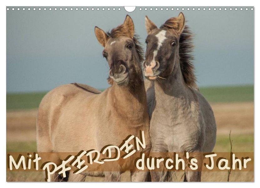 Mit Pferden durchs Jahr (Wandkalender 2027 DIN A3 quer) CALVENDO Monatskalender
