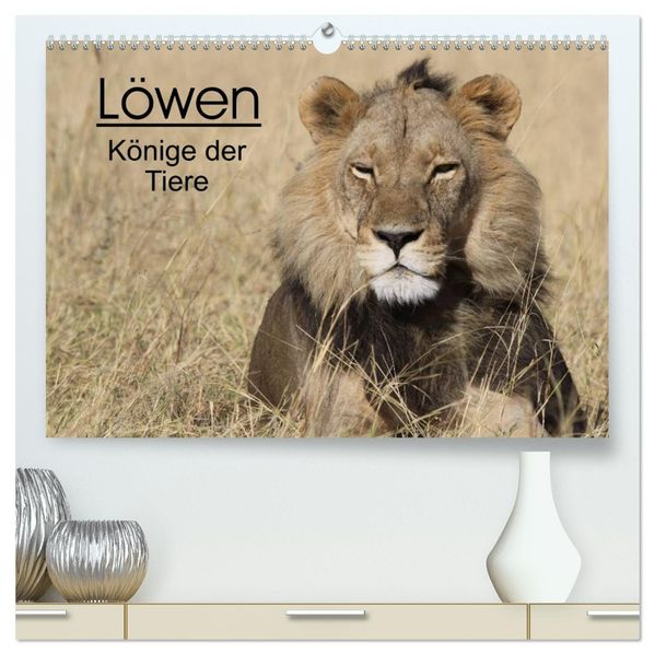 Löwen - Könige der Tiere (hochwertiger Premium Wandkalender 2027 DIN A2 quer) Kunstdruck in Hochglanz