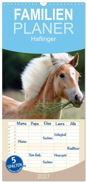 Familienplaner 2027 - Haflinger mit 5 Spalten (Wandkalender 21 x 45 cm) CALVENDO