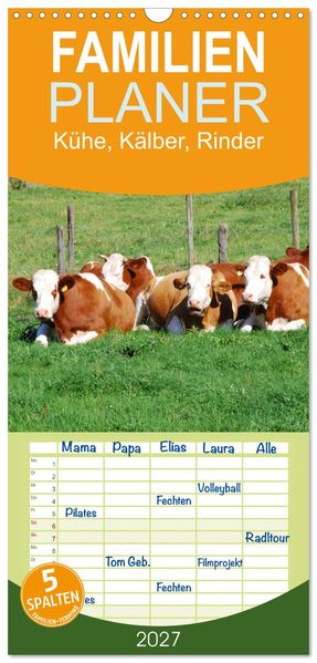 Familienplaner 2027 - Kühe Kälber Rinder mit 5 Spalten (Wandkalender 21 x 45 cm) CALVENDO