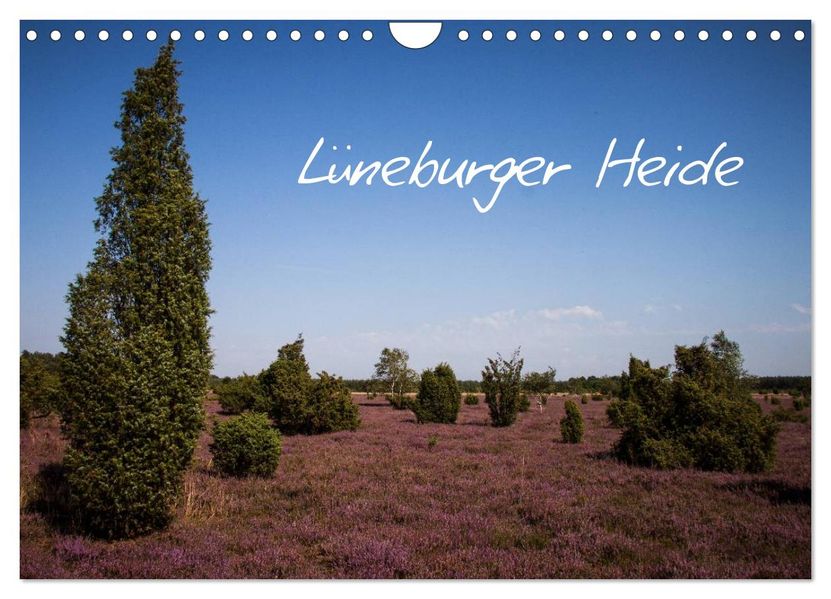 Lüneburger Heide (Wandkalender 2027 DIN A4 quer) CALVENDO Monatskalender