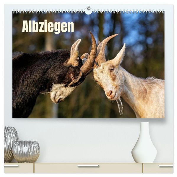 Albziegen (hochwertiger Premium Wandkalender 2027 DIN A2 quer) Kunstdruck in Hochglanz