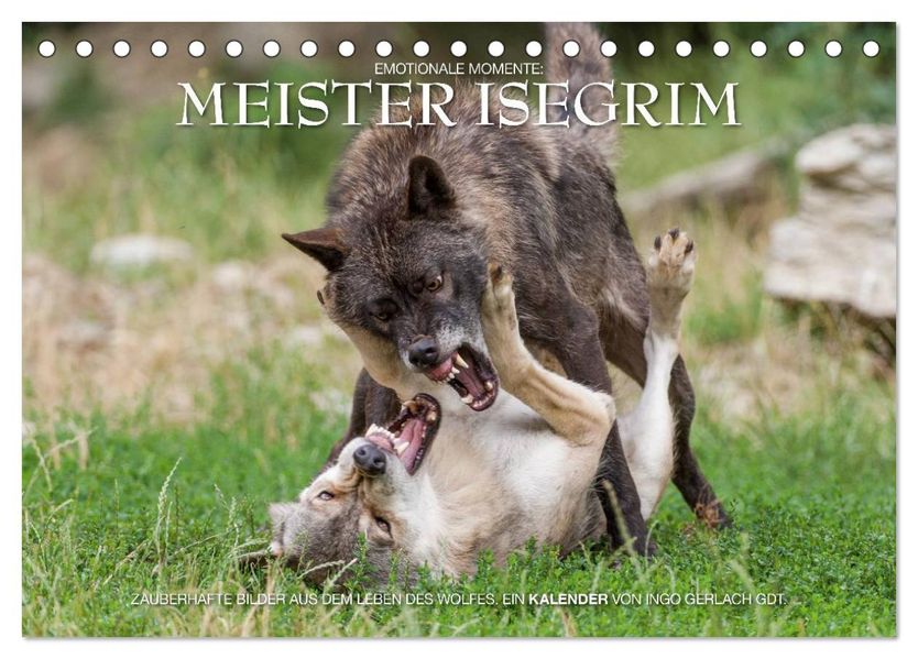 Meister Isegrim (Tischkalender 2027 DIN A5 quer) CALVENDO Monatskalender