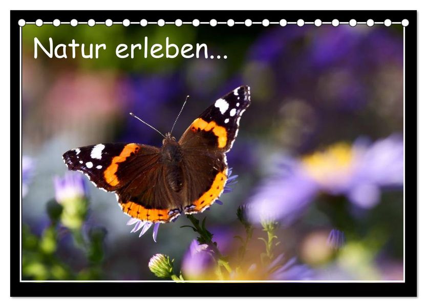 Natur erleben... (Tischkalender 2027 DIN A5 quer) CALVENDO Monatskalender