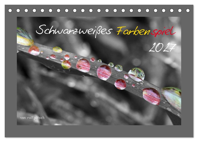 Schwarzweißes Farbenspiel 2027 (Tischkalender 2027 DIN A5 quer) CALVENDO Monatskalender