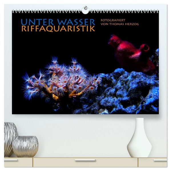 UNTER WASSER Riffaquaristik (hochwertiger Premium Wandkalender 2027 DIN A2 quer) Kunstdruck in Hochglanz