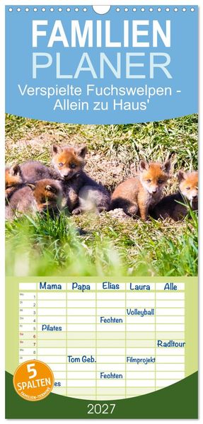 Familienplaner 2027 - Verspielte Fuchswelpen - Allein zu Haus' mit 5 Spalten (Wandkalender 21 x 45 cm) CALVENDO