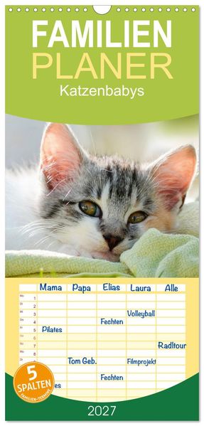 Familienplaner 2027 - Katzenbabys mit 5 Spalten (Wandkalender 21 x 45 cm) CALVENDO