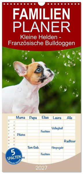 Familienplaner 2027 - Kleine Helden - Französische Bulldoggen mit 5 Spalten (Wandkalender 21 x 45 cm) CALVENDO