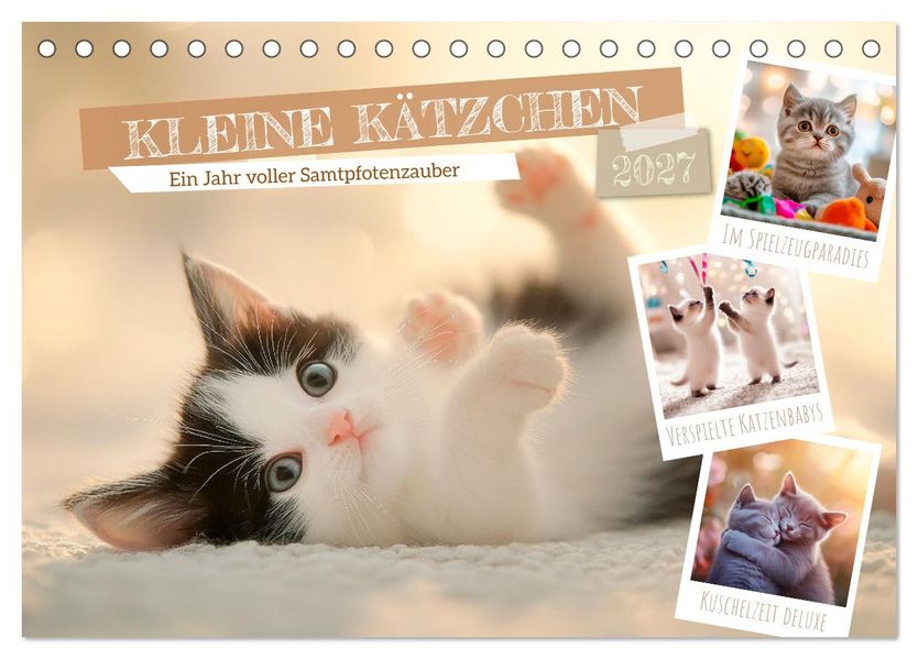 Kleine Kätzchen - Ein Jahr voller Samtpfotenzauber (Tischkalender 2027 DIN A5 quer) CALVENDO Monatskalender