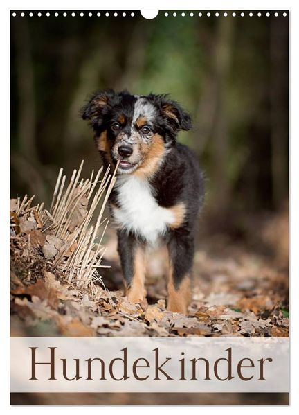 Hundekinder (Wandkalender 2027 DIN A3 hoch) CALVENDO Monatskalender