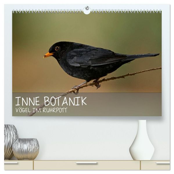 INNE BOTANIK - Vögel im Ruhrpott (hochwertiger Premium Wandkalender 2027 DIN A2 quer) Kunstdruck in Hochglanz