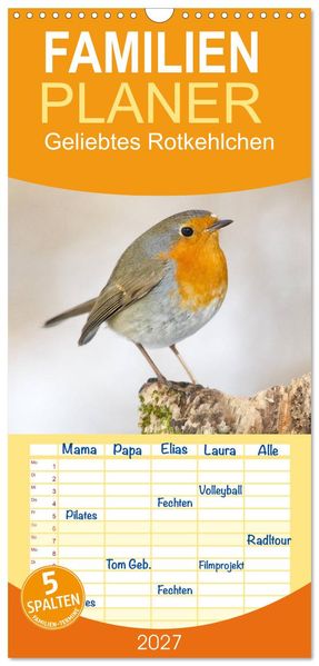 Familienplaner 2027 - Geliebtes Rotkehlchen mit 5 Spalten (Wandkalender 21 x 45 cm) CALVENDO