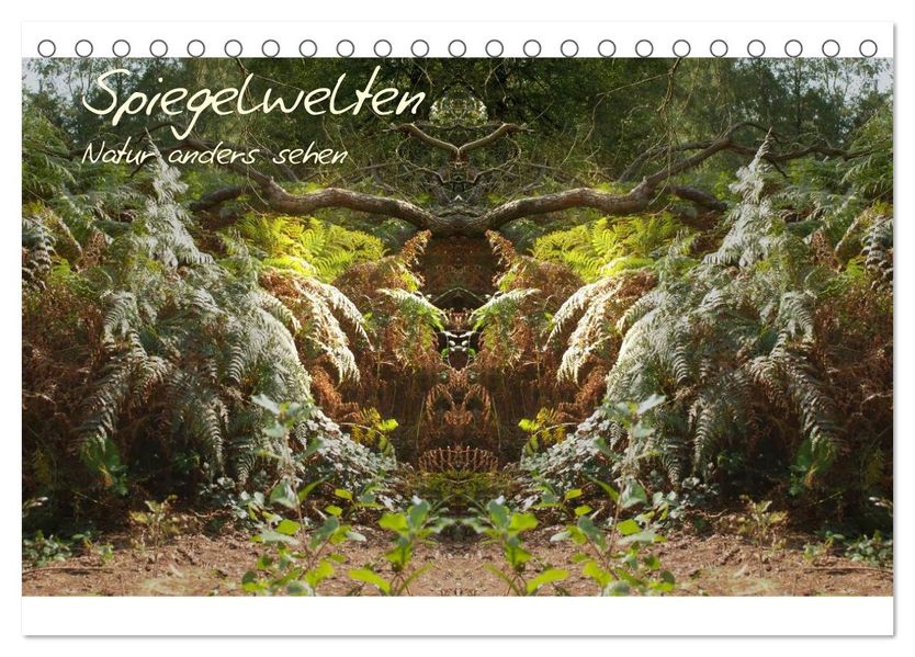 Spiegelwelten - Natur anders sehen (Tischkalender 2027 DIN A5 quer) CALVENDO Monatskalender