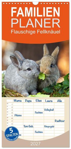 Familienplaner 2027 - Flauschige Fellknäuel mit 5 Spalten (Wandkalender 21 x 45 cm) CALVENDO