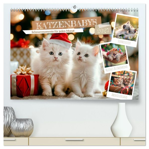 Katzenbabys - Schnurrmomente für jeden Monat (hochwertiger Premium Wandkalender 2027 DIN A2 quer) Kunstdruck in Hochglanz