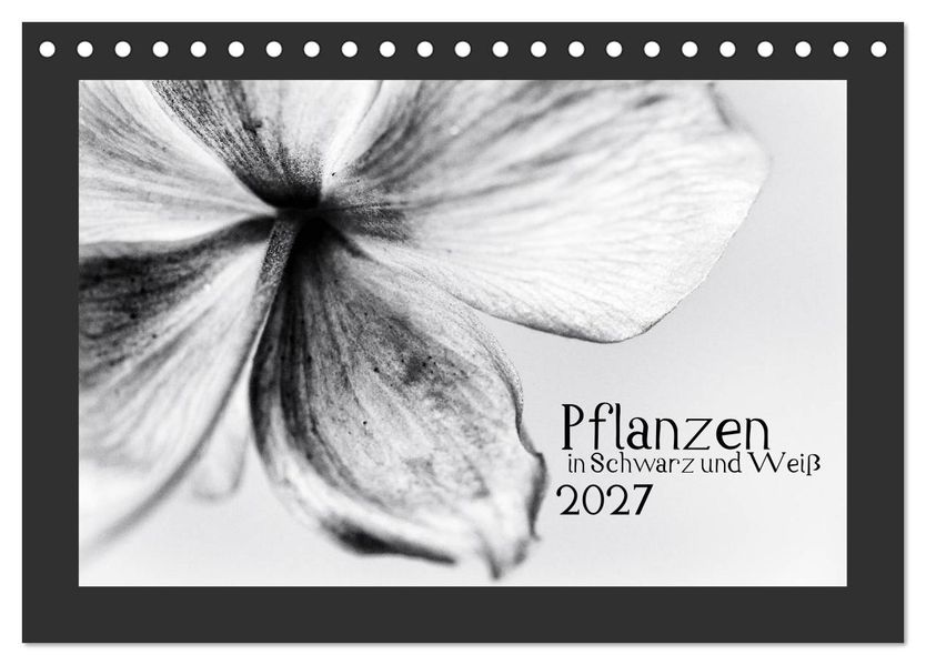 Pflanzen in Schwarz und Weiß (Tischkalender 2027 DIN A5 quer) CALVENDO Monatskalender