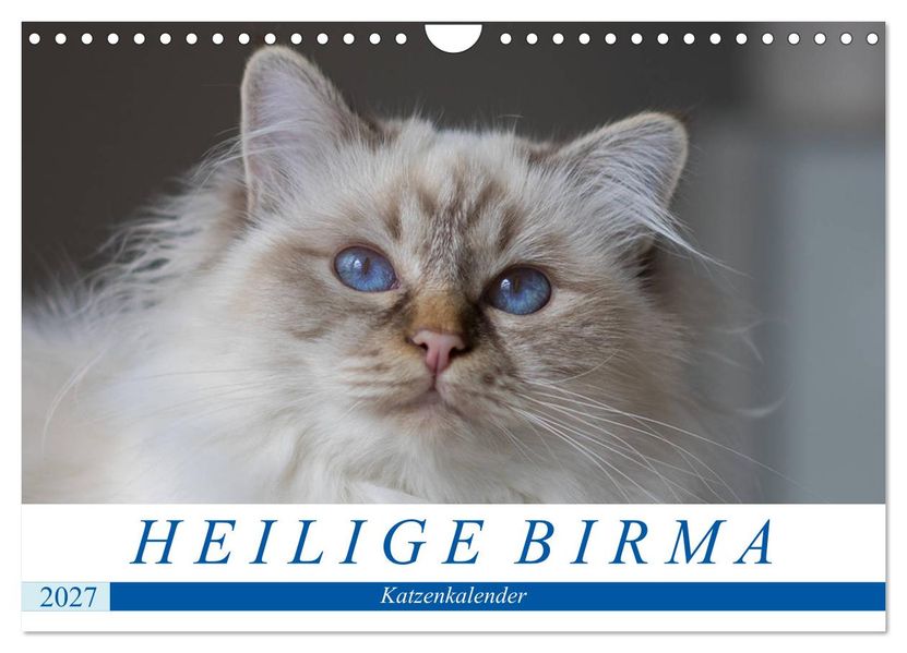 Heilige Birma Katzenkalender (Wandkalender 2027 DIN A4 quer) CALVENDO Monatskalender