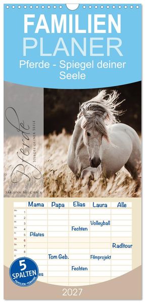 Familienplaner 2027 - Spiegel deiner Seele mit 5 Spalten (Wandkalender 21 x 45 cm) CALVENDO