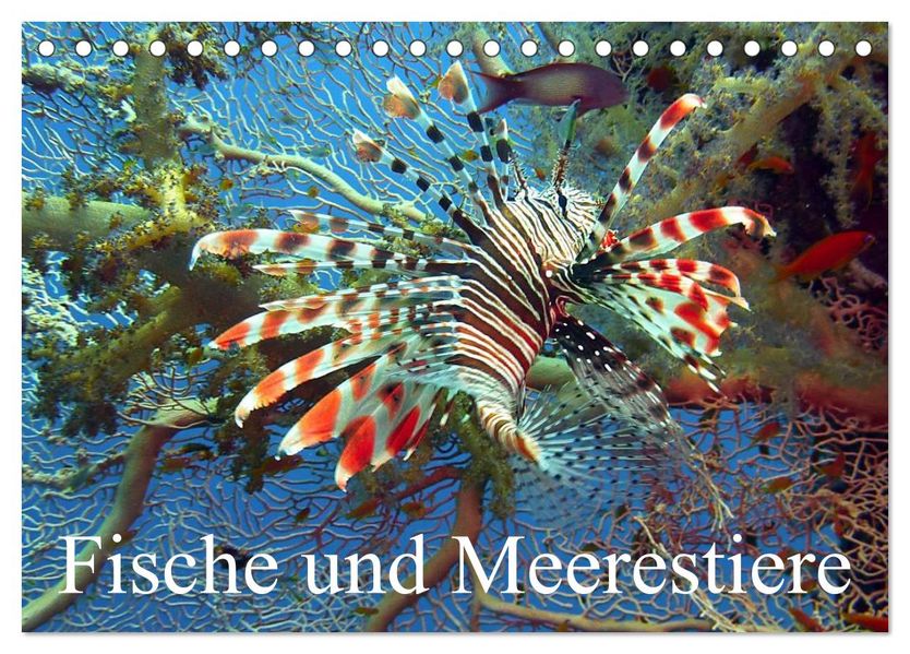 Fische und Meerestiere (Tischkalender 2027 DIN A5 quer) CALVENDO Monatskalender