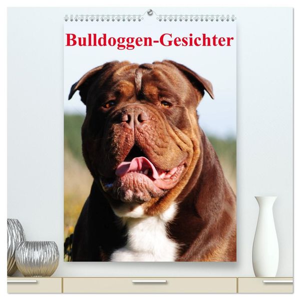 Bulldoggen-Gesichter (hochwertiger Premium Wandkalender 2027 DIN A2 hoch) Kunstdruck in Hochglanz
