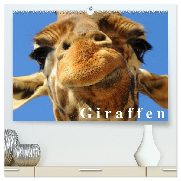 Giraffen / Geburtstagskalender (hochwertiger Premium Wandkalender 2027 DIN A2 quer) Kunstdruck in Hochglanz