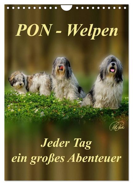 PON-Welpen - jeder Tag ein großes Abenteuer / Planer (Wandkalender 2027 DIN A4 hoch) CALVENDO Monatskalender