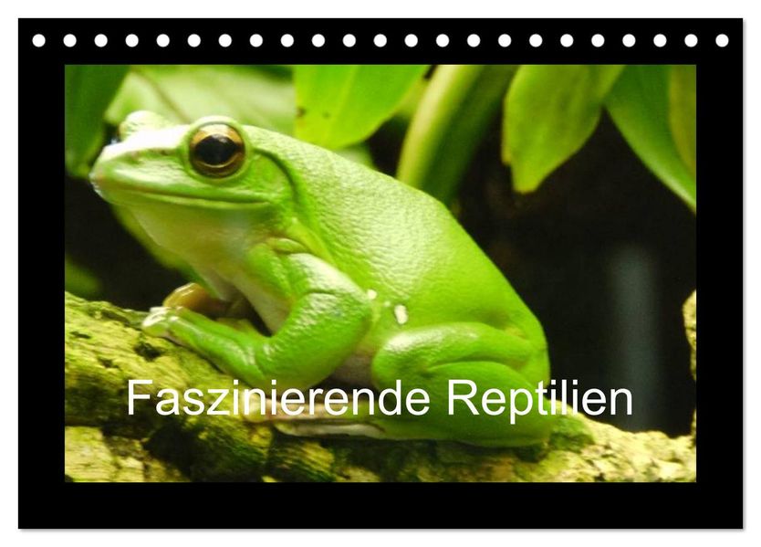 Faszinierende Reptilien (Tischkalender 2027 DIN A5 quer) CALVENDO Monatskalender
