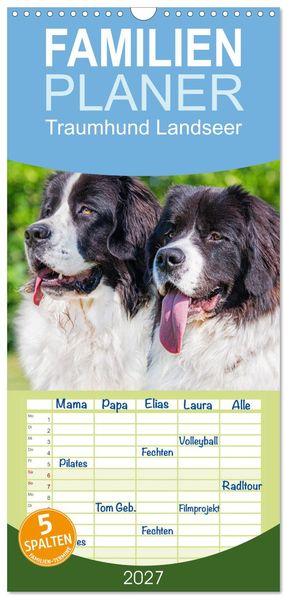 Familienplaner 2027 - Traumhund Landseer mit 5 Spalten (Wandkalender 21 x 45 cm) CALVENDO