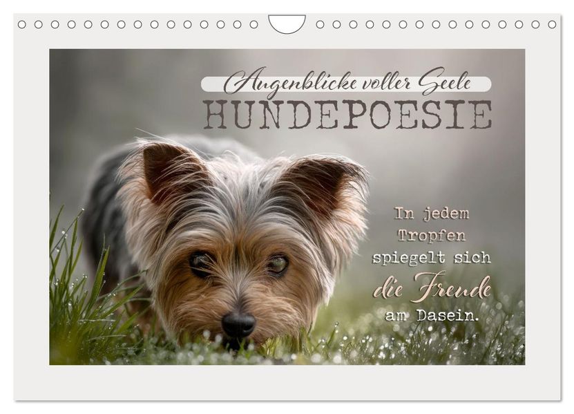 Hundepoesie - Augenblicke voller Seele (Wandkalender 2027 DIN A4 quer) CALVENDO Monatskalender